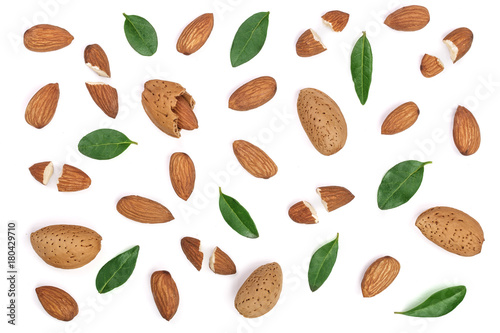 almonds with leaves isolated on white background. Flat lay pattern. Top view
