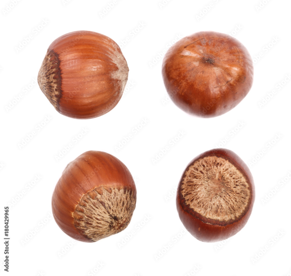 Hazelnut isolated on white background. Set or collection Hazelnut isolated on white background. Set or collection