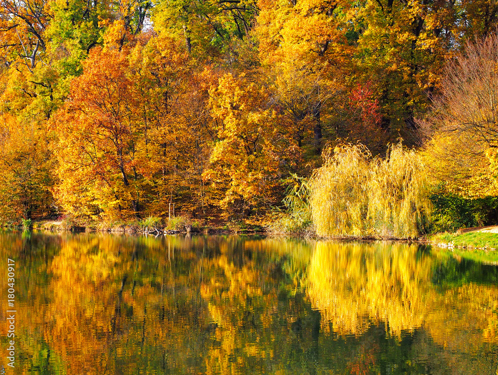 Lake in Maksimir and autumn forest, Zagreb, Croatia.