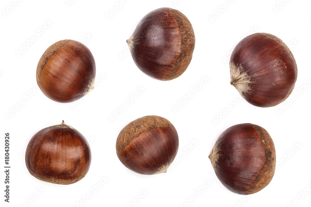 chestnut isolated on white background. Top view chestnut isolated on white background. Top view