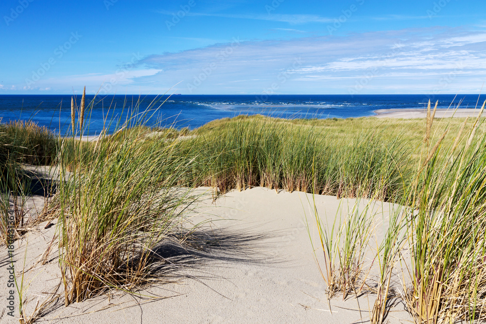 Dunes on a island in the Netherlands Dunes on a island in the Netherlands