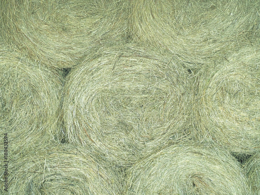 Fototapeta premium Stacked bales of hay. Dry straw bales texture folded in circles. Rolls of straw, hay background