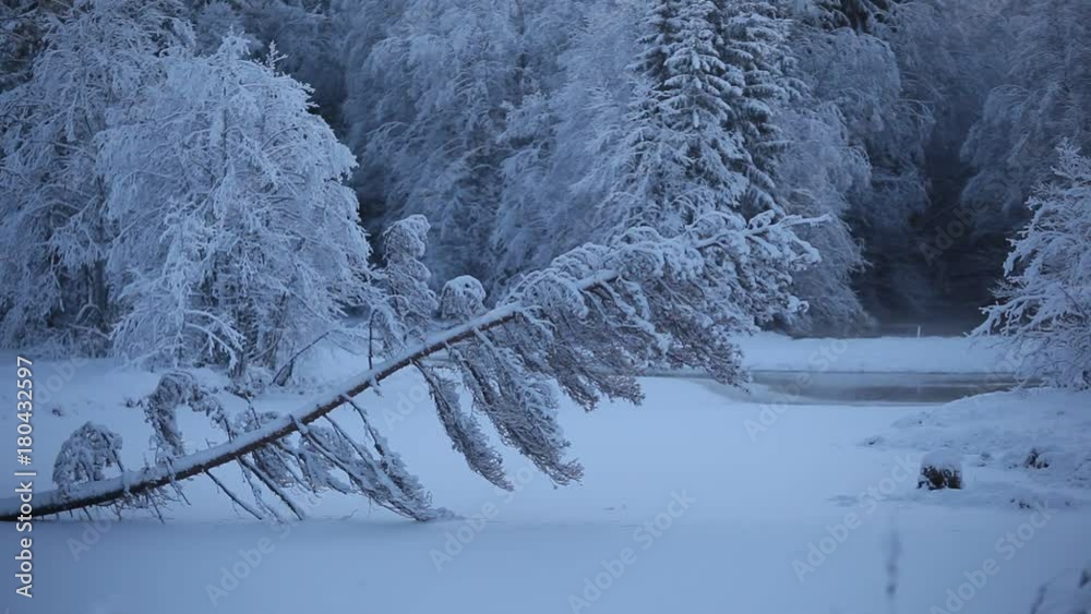 Winter river and tree Winter river and tree