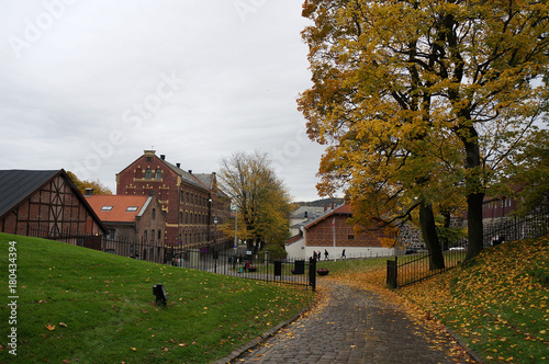 Photography Walking in Oslo