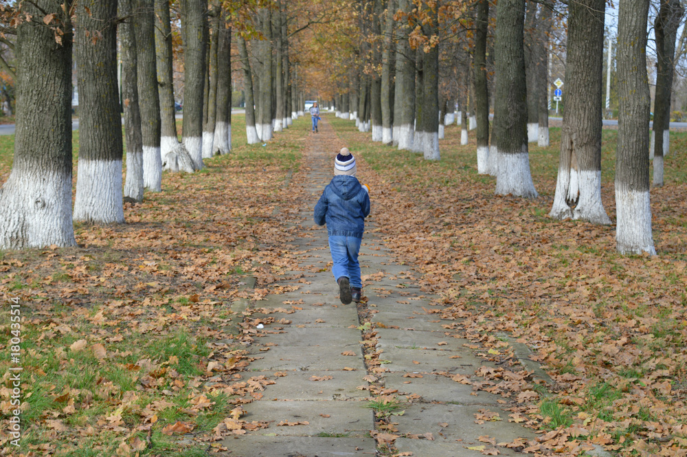 Fototapeta premium Boy walks in autumn alley.
