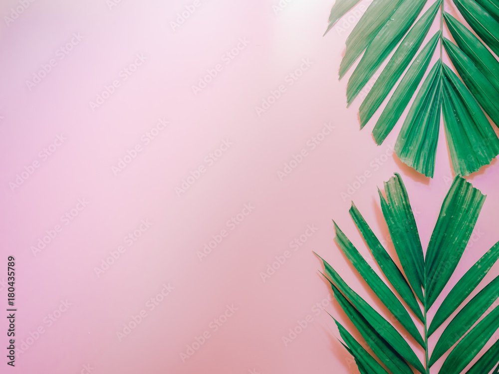 Obraz premium minimal summer background concept with vertical arrange palm leaf on pink pastel background