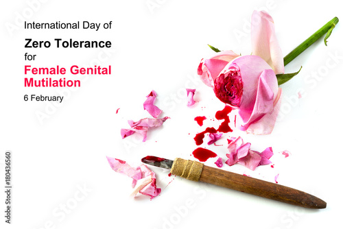 cut rose blossom, blood and knife isolated on a white background with text International Day of Zero Tolerance for Female Genital Mutilation, 6 February, concept for human rights