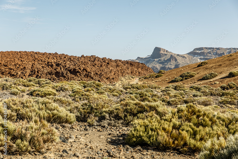 Landscape where there is a mixture of vegetation, volcanic rocks and mountain in the background