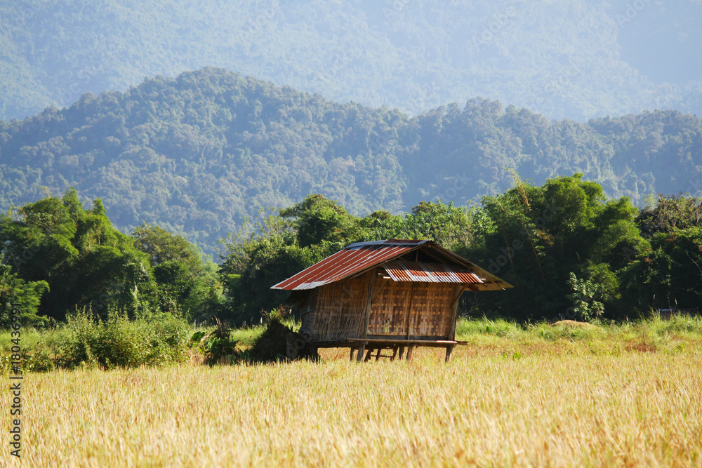 Fototapeta premium Traditional farmer's hut in the rice field in Vang vieng, Laos.