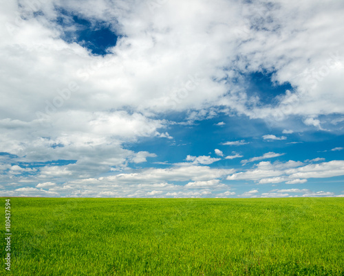 Green grass field under blue sky