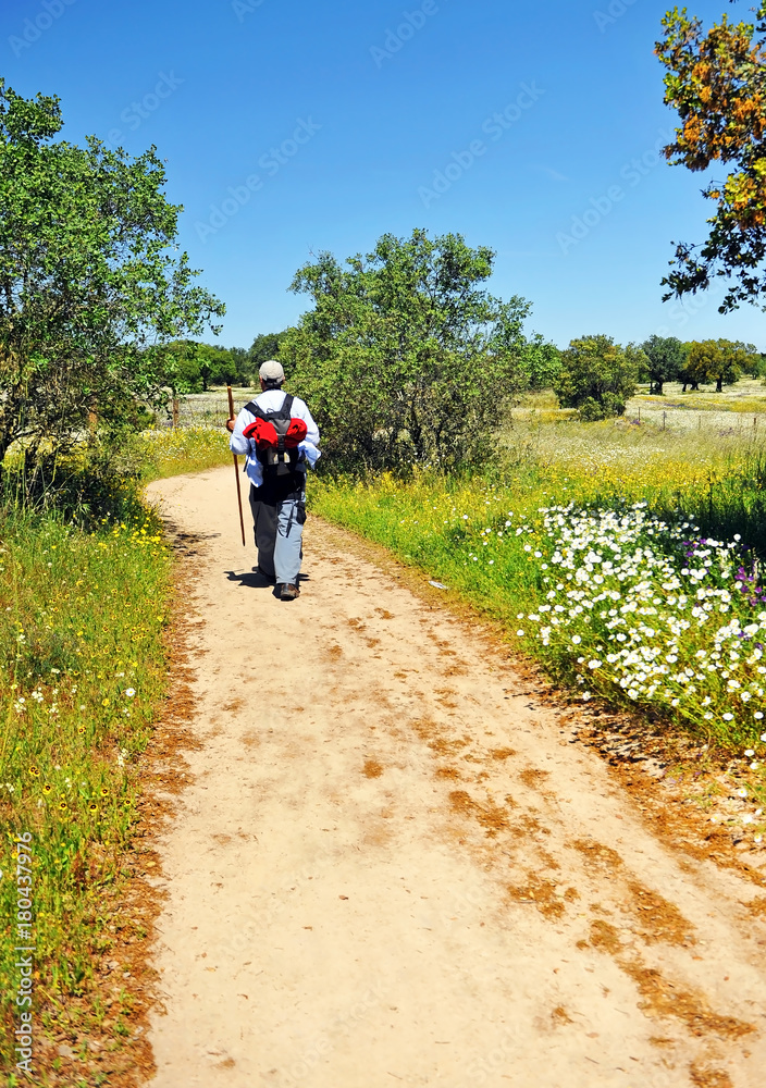 Obraz premium Hiker in the Via de la Plata, Camino de Santiago in Extremadura, Spain