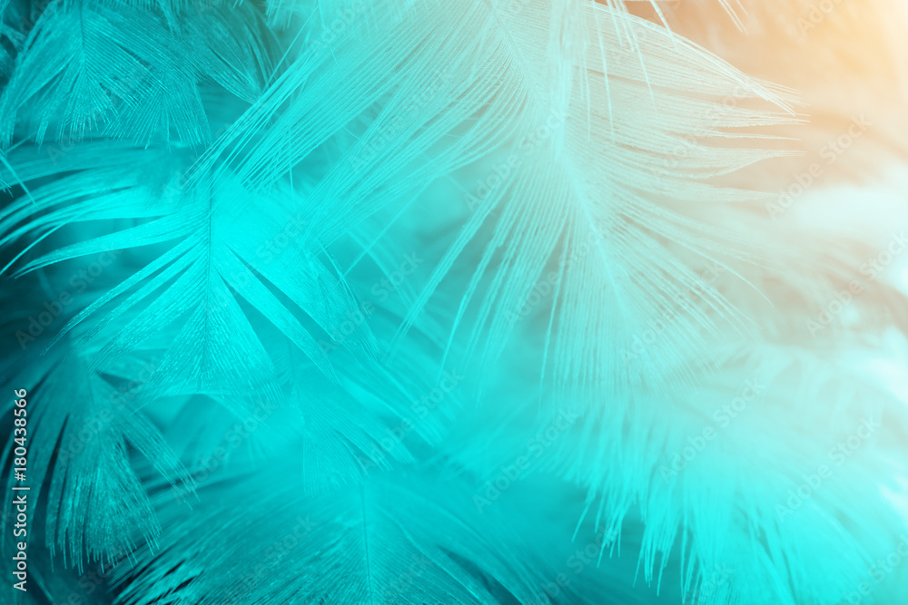 Green turquoise and blue color trends feather texture background,Light  orange Stock Photo | Adobe Stock