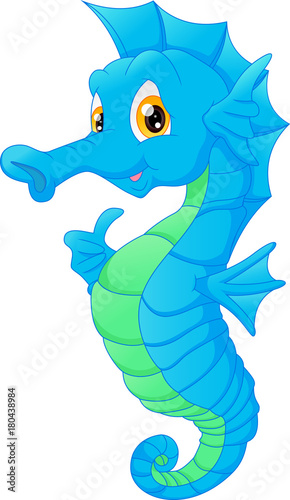 Cute seahorse cartoon
