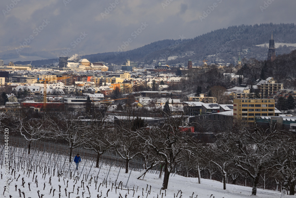 Freiburg im Winter