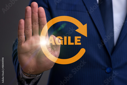 Concept of agile software development