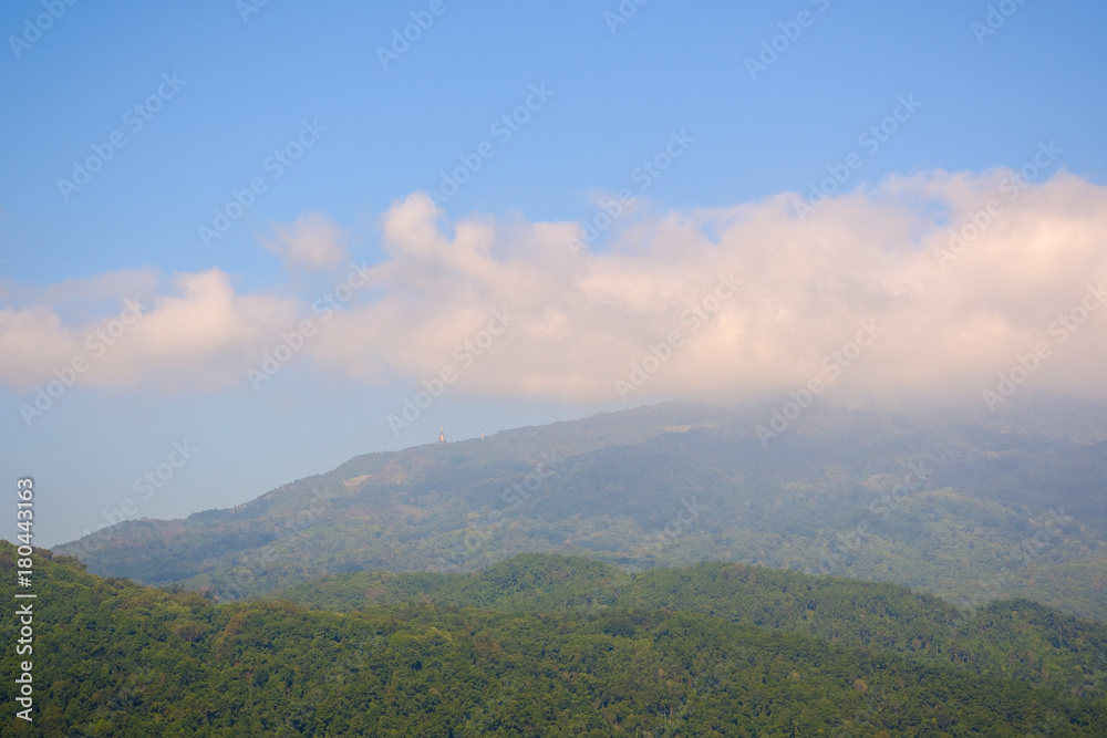 Forest mountain and cloud a scenic landscape view