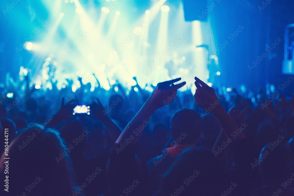 The audience watching the concert on stage.