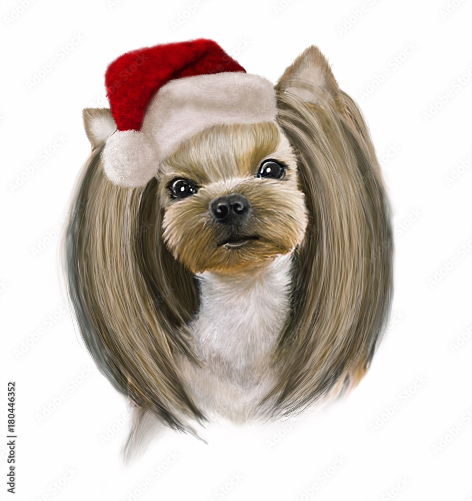 Funny beautiful small dog Yorkshire terrier in new year hat close up, illustration on white background