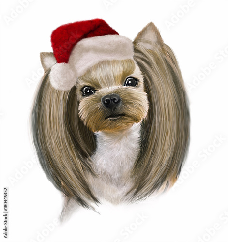 Obraz na płótnie Funny beautiful small dog Yorkshire terrier in new year hat close up, illustration on white background w salonie