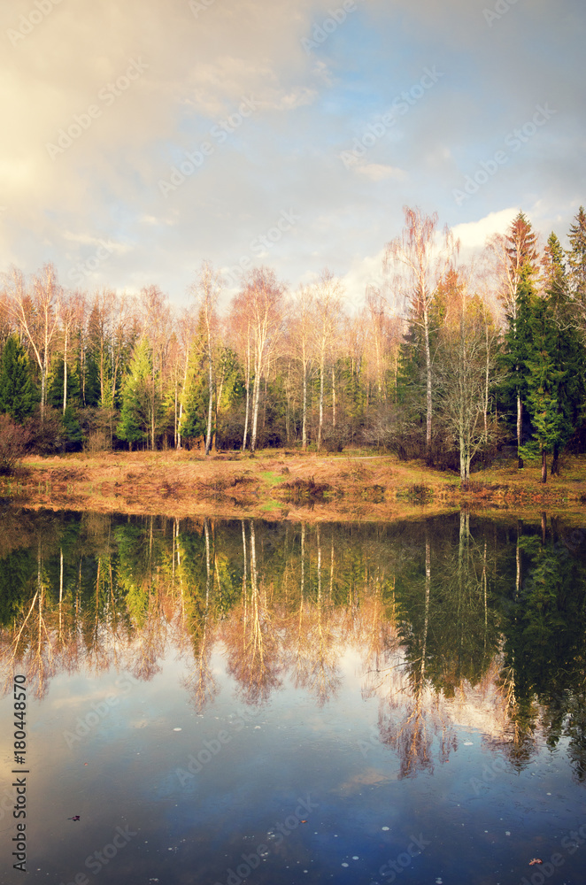 Late autumn.November.Bare trees in the forest.Warm sunlight at sunset. Late autumn.November.Bare trees in the forest.Warm sunlight at sunset.