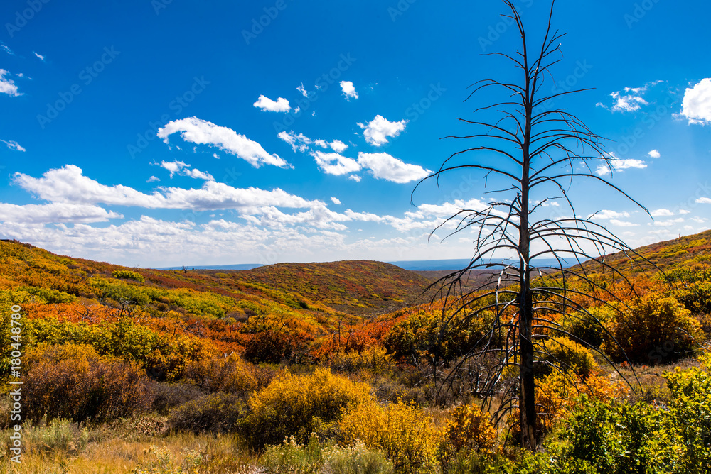 Fototapeta premium Landschaft im Mesa Verde Nationalpark