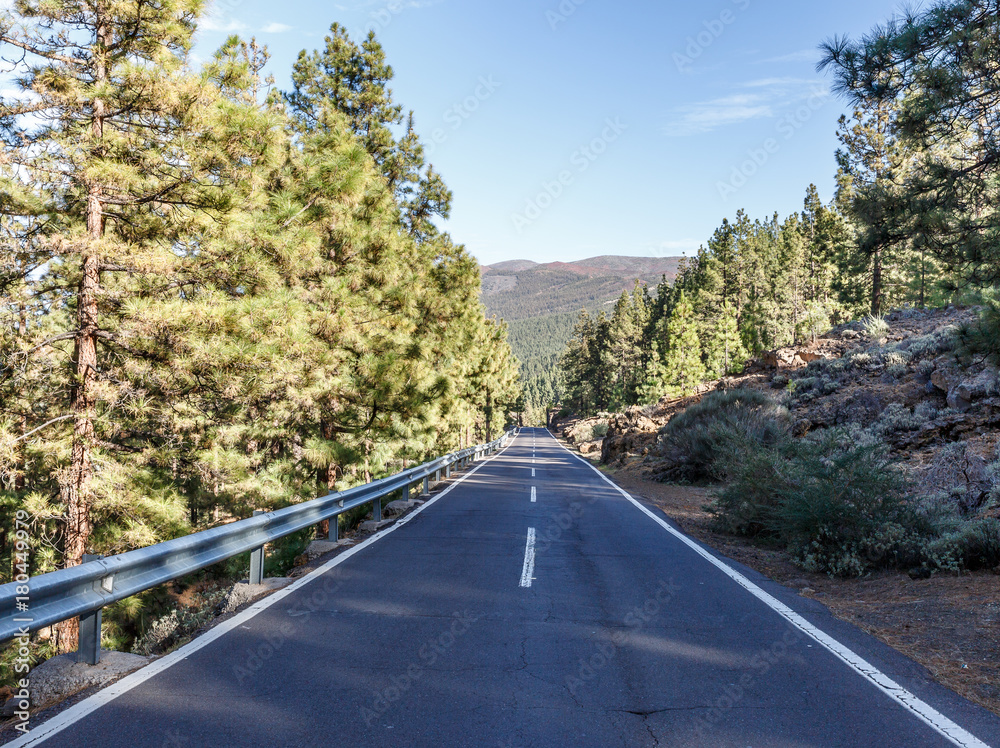 Fototapeta premium A large road crosses a rocky and wooded area