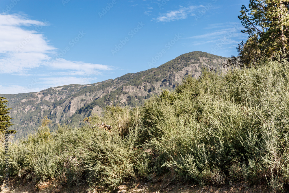 Area with great vegetation in a large mountainous area Area with great vegetation in a large mountainous area