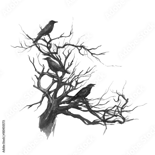 Monochrome hand drawn watercolor ink illustration with tree branches, twigs and black ravens. Crows on the old dead tree. Scary Halloween background.