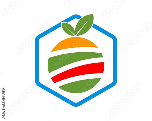 fruit and nutrition services