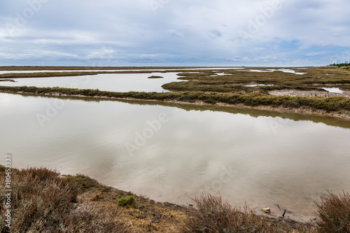 Fototapeta Naklejka Na Ścianę i Meble -  Wetlands near the town of Tavira, Portugal