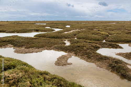 Wetlands near the town of Tavira, Portugal