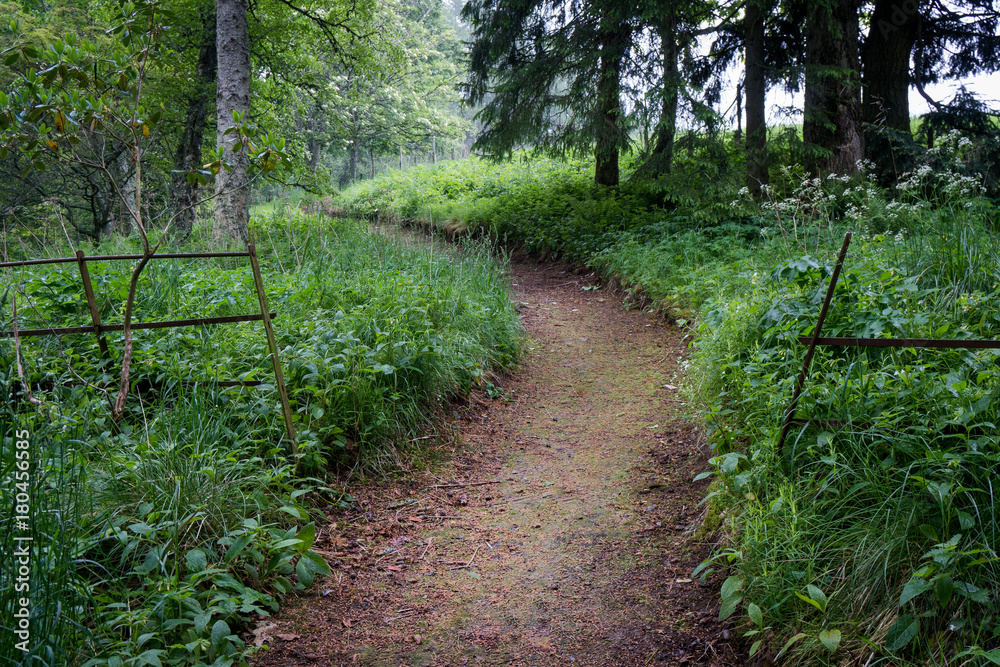 Garden Path Garden Path