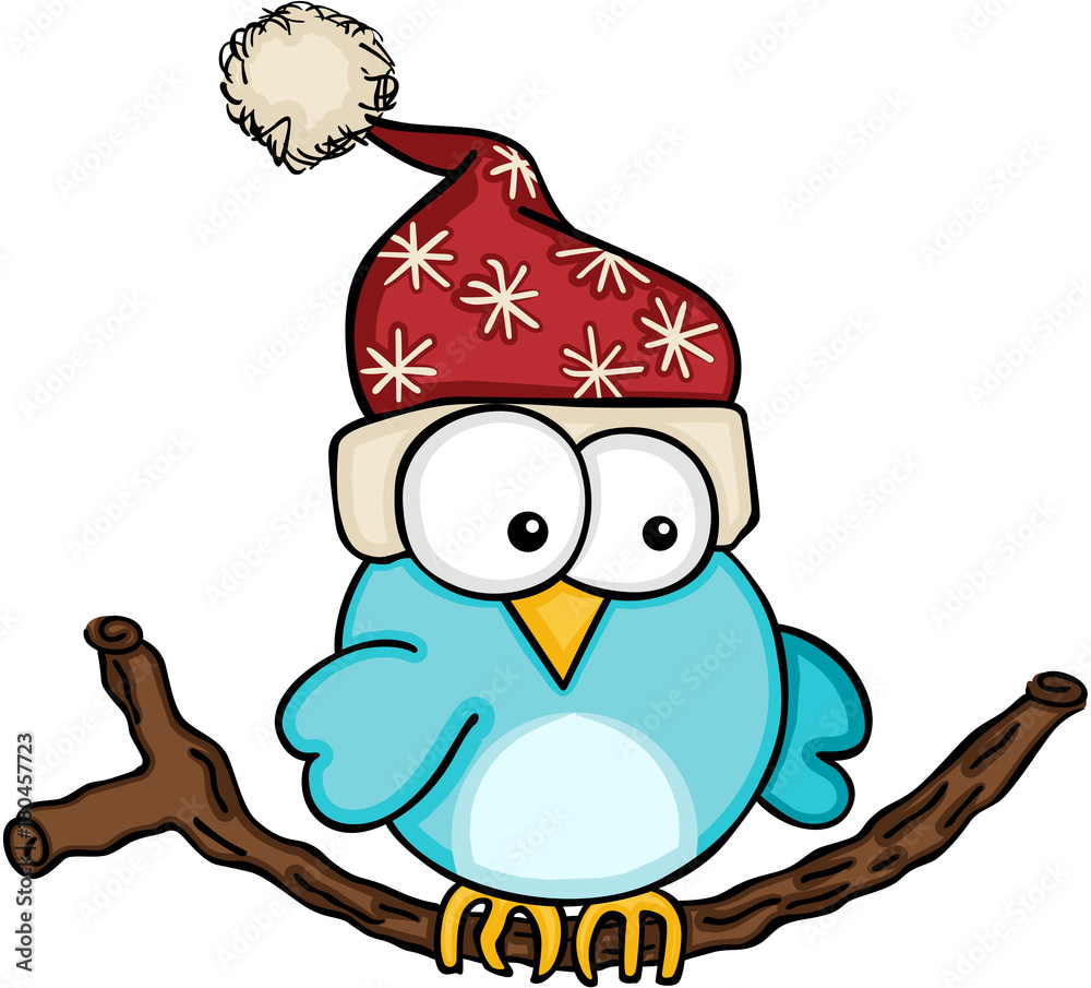 Christmas blue bird
