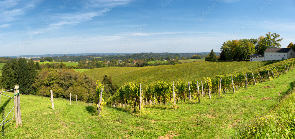 Obraz premium vineyard of the Jurancon wine in the Pyrenees