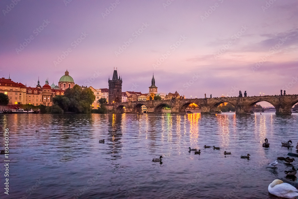 Manes bridge in Prague, Czech Republic at sunset. Ducks and swans on the river. Ducks and swans on the river