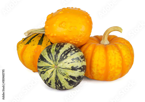 Decorative pumpkins collection isolated on white background