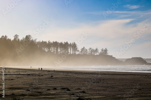 A Walk On The Beach