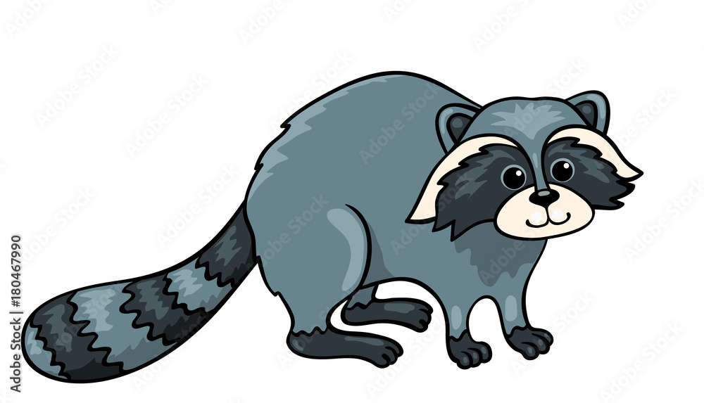 Raccoon isolated on white Raccoon isolated on white
