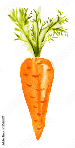 Carrot