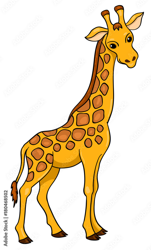 Obraz premium Giraffe