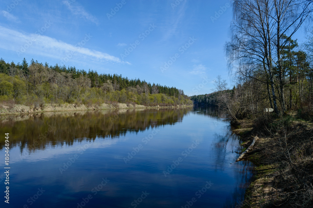 scenic wetlands with country lake or river in summer