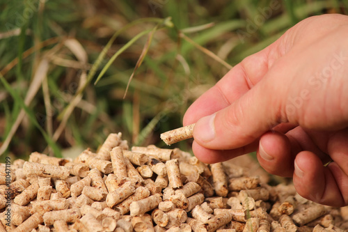 Pellets