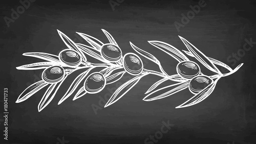 Chalk sketch of olive branch.