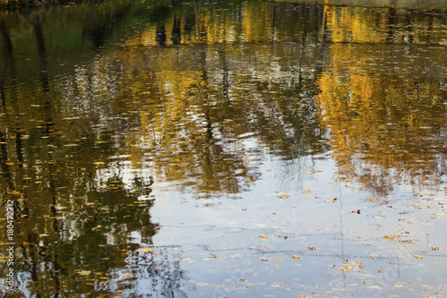 reflection of the autumn forest in the water