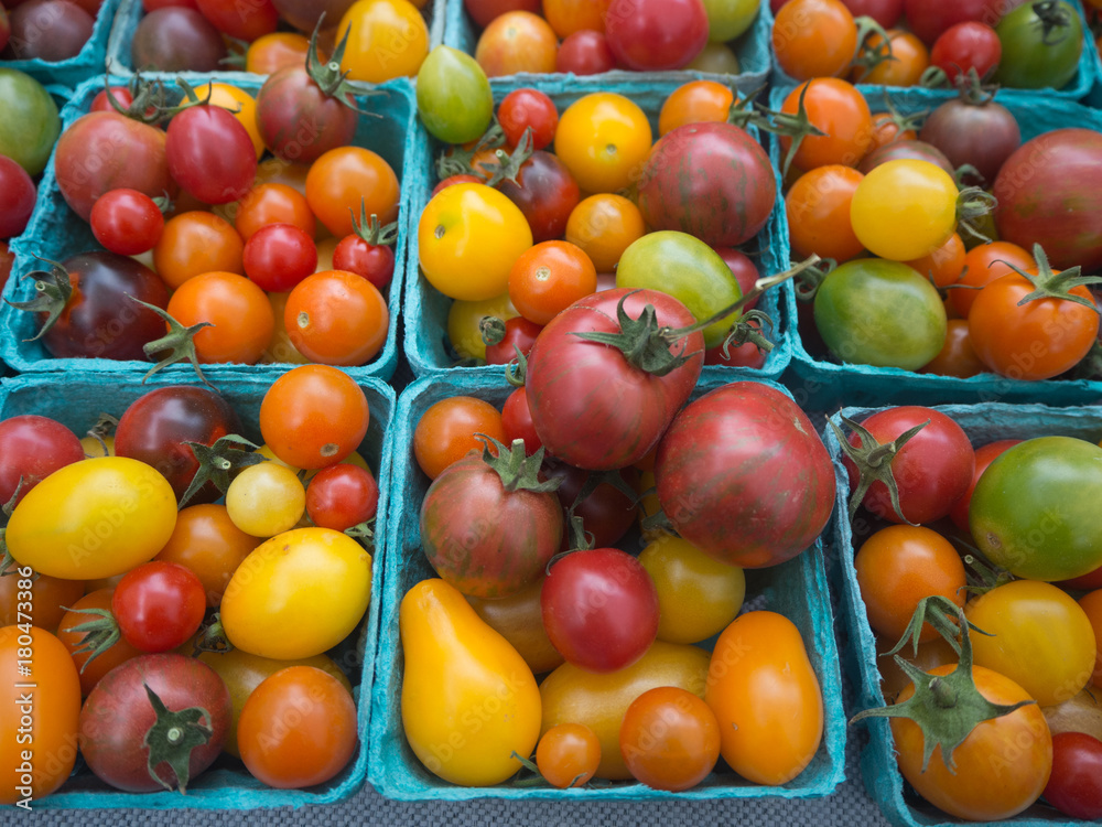 Mini Tomatoes Mini Tomatoes