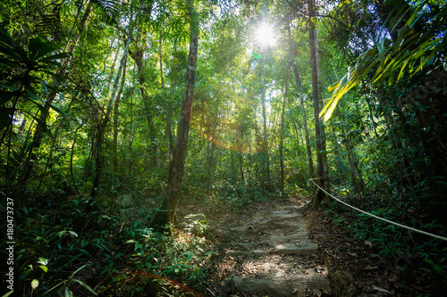 Tropical landscape of Koh Kood © sitriel