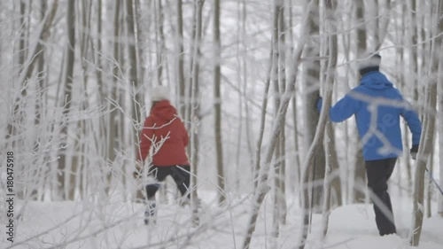 Two skiers gliding through the forest facing away from the camera