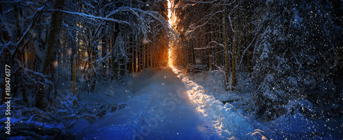 Winterlicht photo