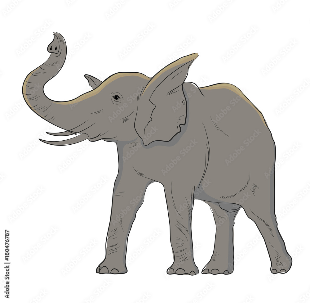 Elephant Vector Illustration Elephant Vector Illustration