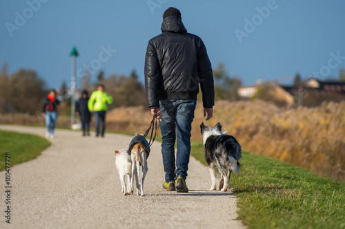 Fototapeta Naklejka Na Ścianę i Meble -  Mann mit Hunden